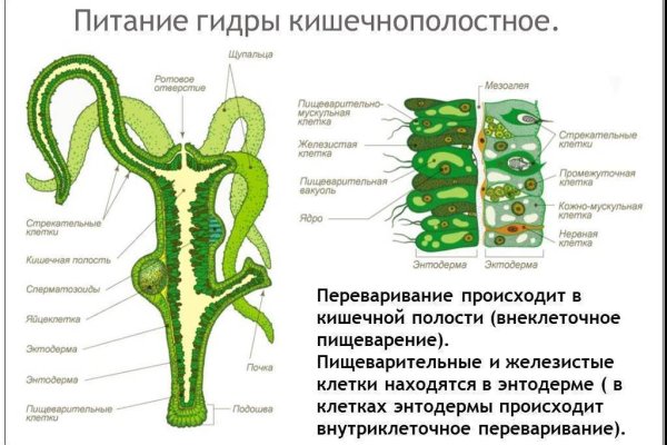 Актуальные ссылки на кракен тор